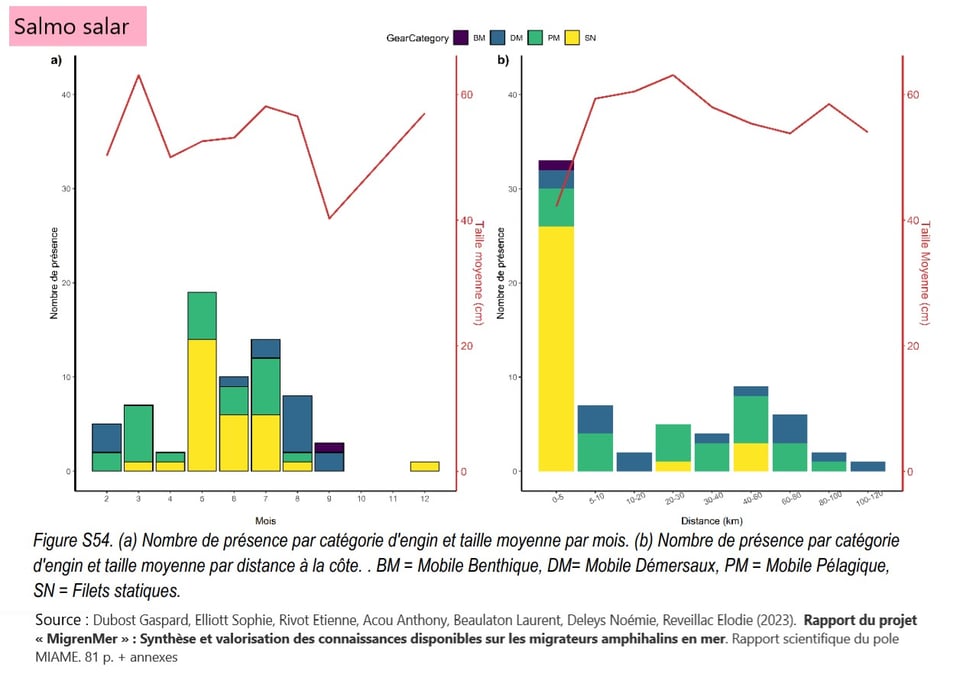 Ces histogrammes révèlent que les saumons sont capturés majoritairement par les filets fixes dans les tout premiers milles, surtout entre mai et juillet, quand ils se rapprochent des côtes après leur séjour dans les lointaines eaux nordiques.