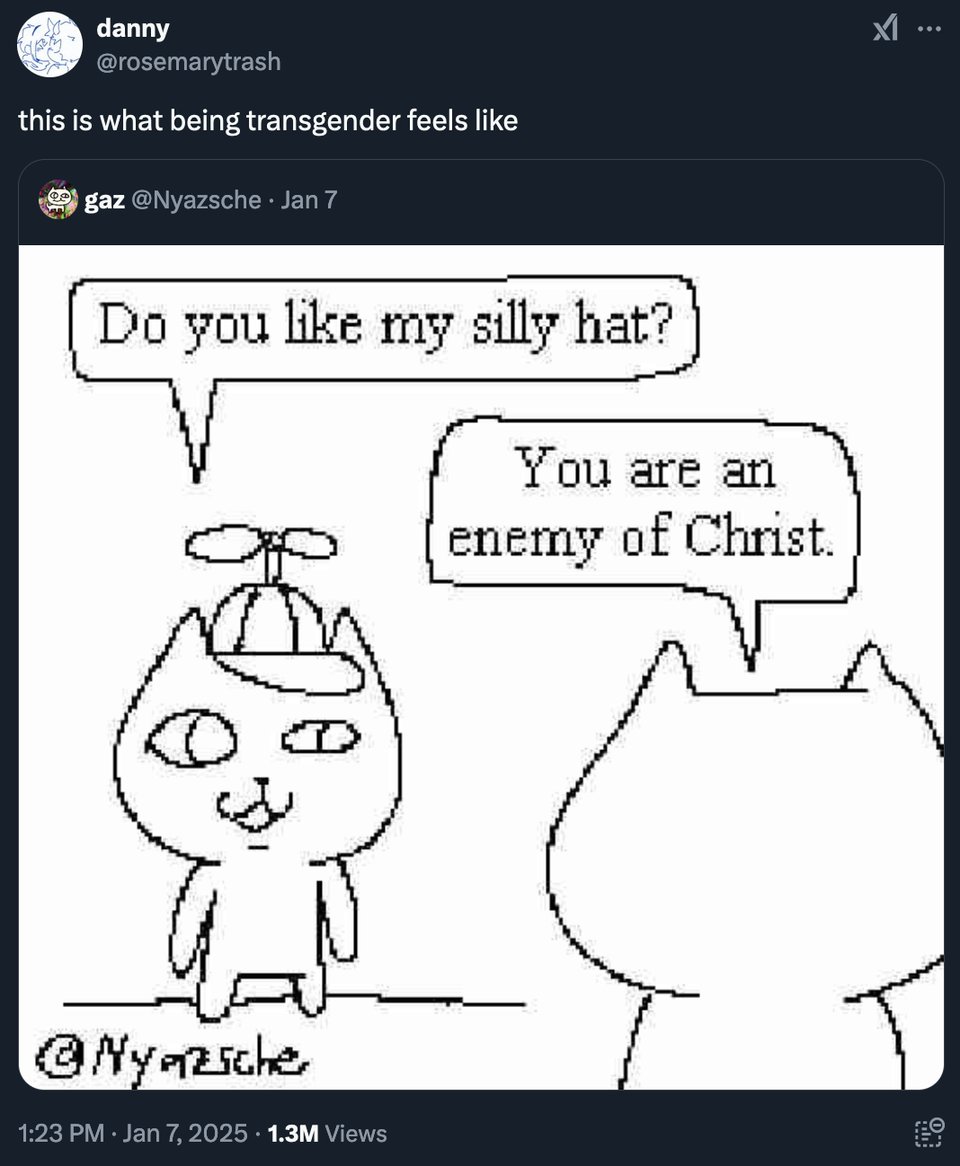 A screenshot from twitter. The first tweet is a single panel comic with two cartoon cats talking to each other. One is wearing a propellor hat and asks the other "do you like my silly hat?" prompting the other to respond "You are an enemy of Christ." Another user quote tweets the comic and says "this is what being transgender feels like."