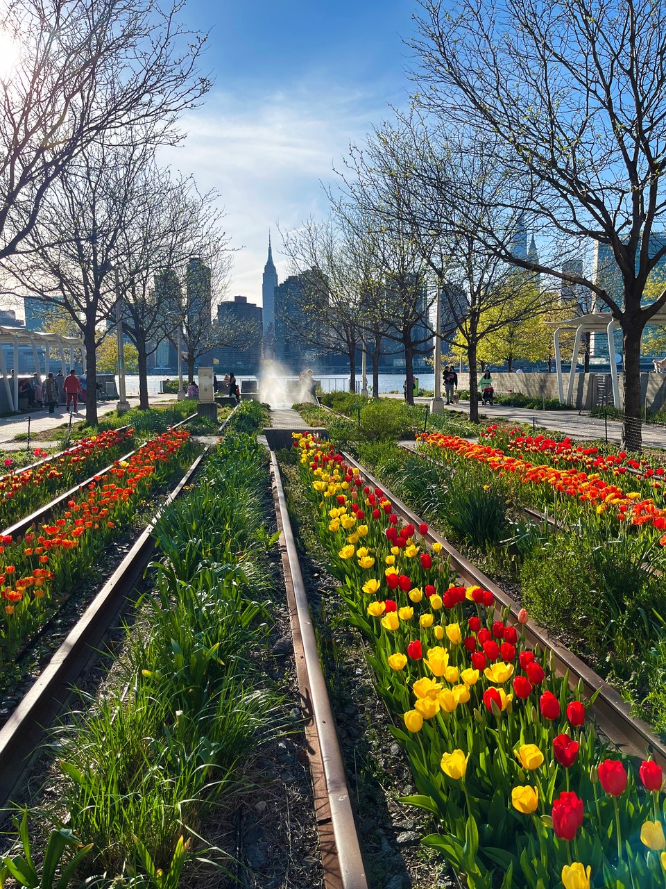Rows of red and yellow tulips on abandoned train tracks in a waterfront park, from which the Manhattan skyline in visible