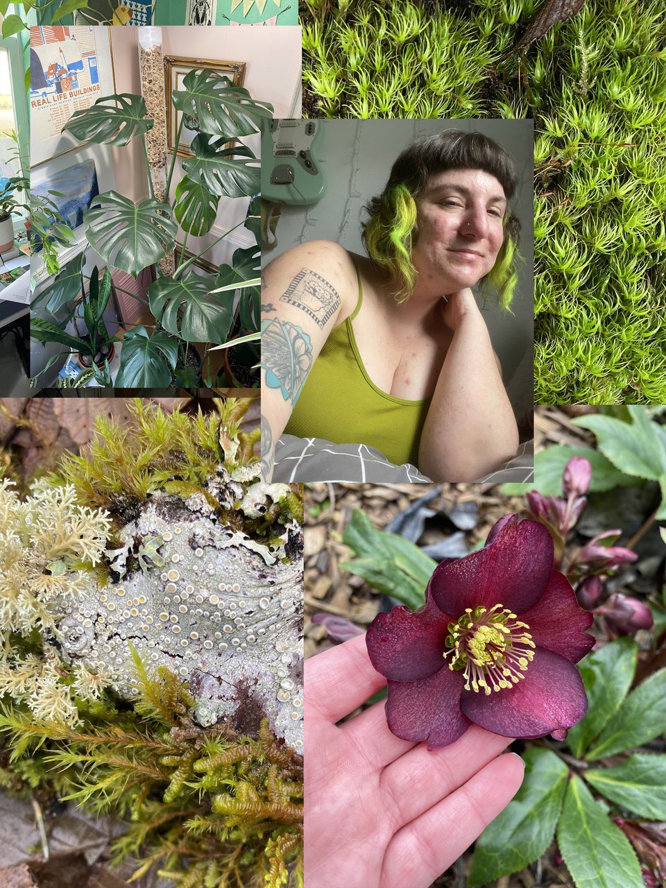 photo collage consisting of photos of lichens, moss, a monstera, hellebores and a selfie.
