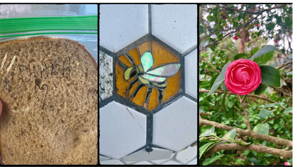 3 photos. L-R: a sandwich in a plastic bag with "Diana" written on it with a heart, a stained-glass bee, and a pink camellia on a tree.