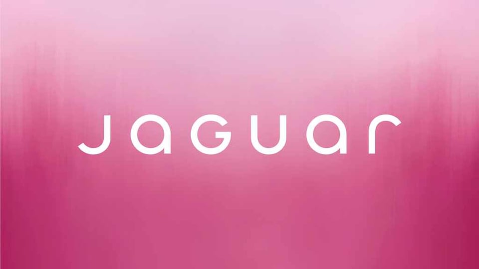 the new Jaguar logo on a smudgy pink background, the typeface is curved and modern with very clean lines and the 'g' and 'u' in upper case