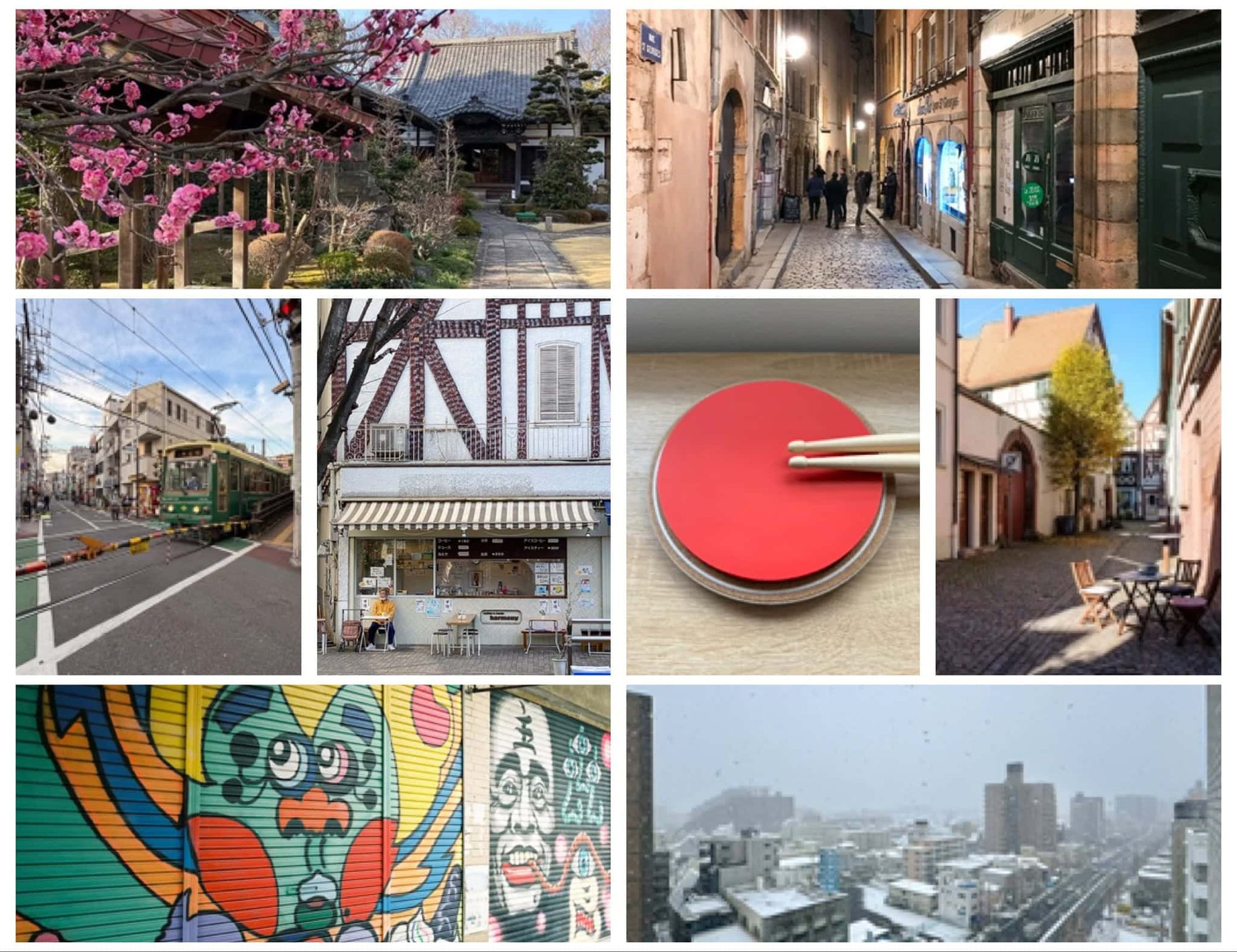 Spring is Coming 🌱