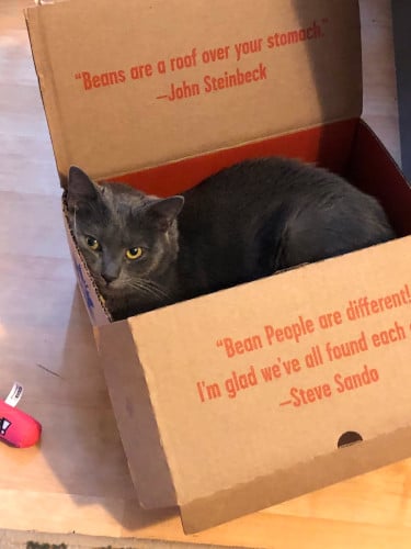 Big Projects, Big Changes