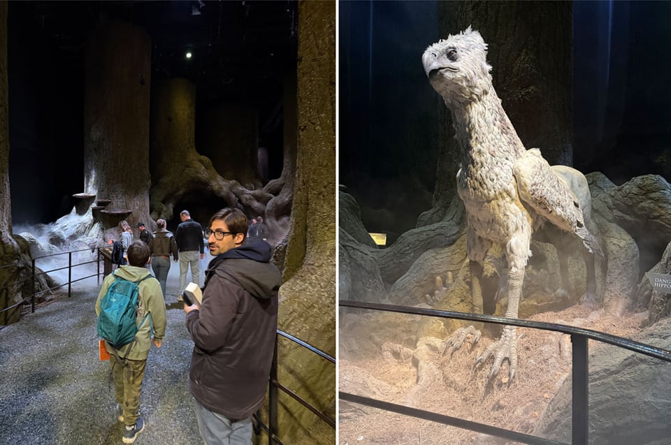Two photos side by side. People go through the path of the forbidden forest. The right hand side shows the special effect large puppet of the Hippogryph, the combination of horse and eagle.