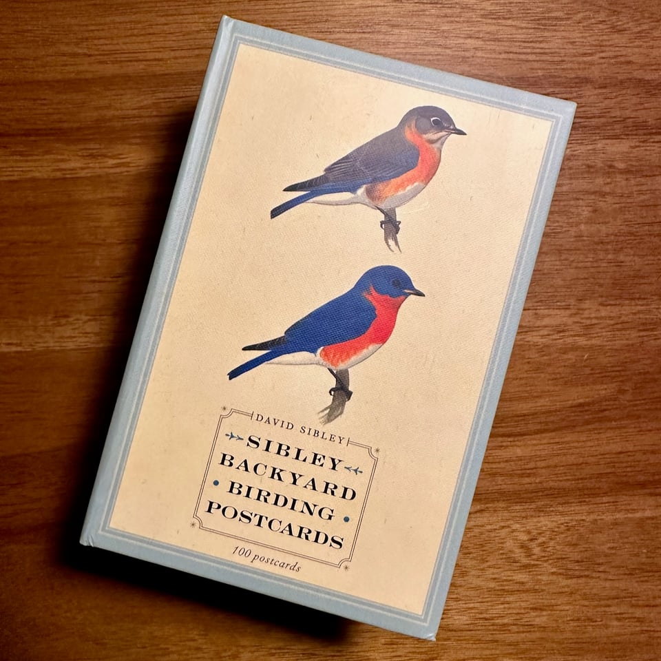 Photo of a box of postcards, featuring David Sibley's backyard birding watercolors