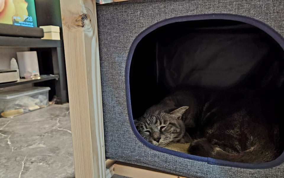 A photo of my grey cat, Luca, sleeping in a cozy nook built into the side of a table.
