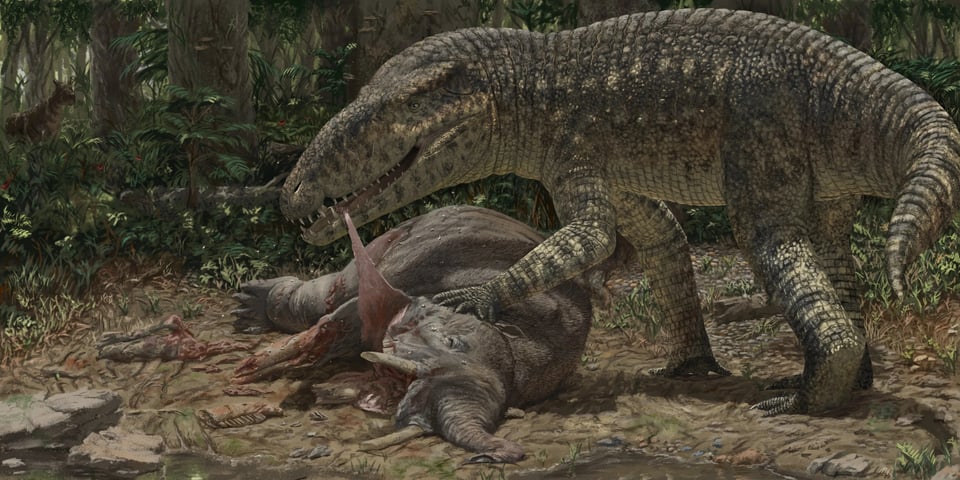One Good Croc Feeds Another