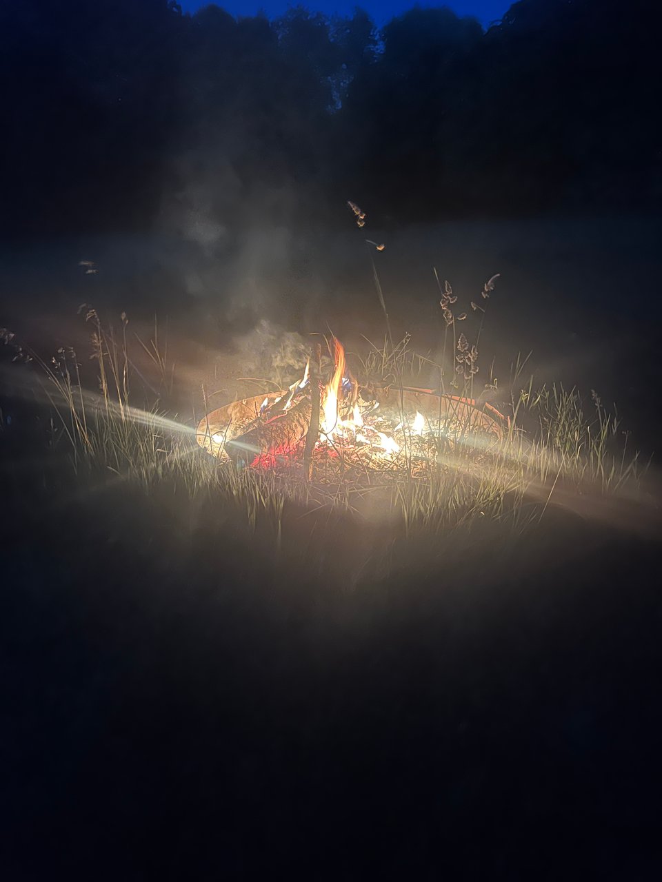 campfire in a field, light stretching out of the flames in the dark, trees in the background