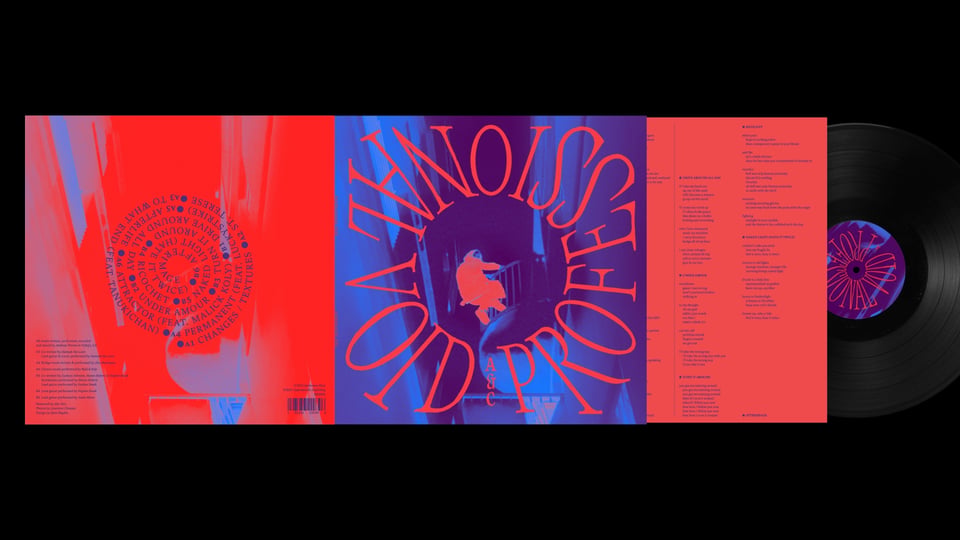 The full record sleeve design for Professional Void.