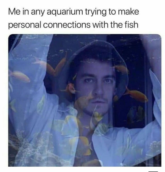 "Me in any aquarium trying to make personal connections with the fish" atop an image of Casey Frey overlaid with an underwater image