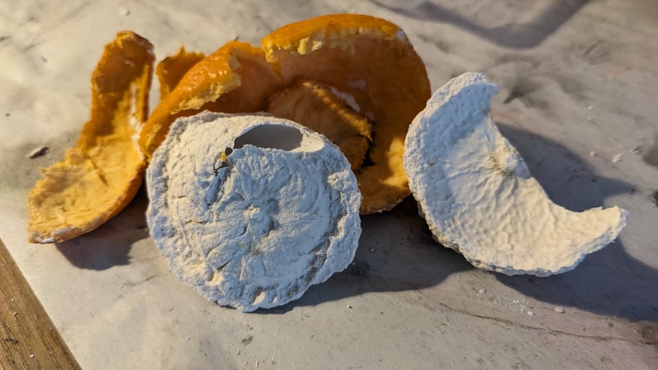 Plaster cast molded from mandarin skins
