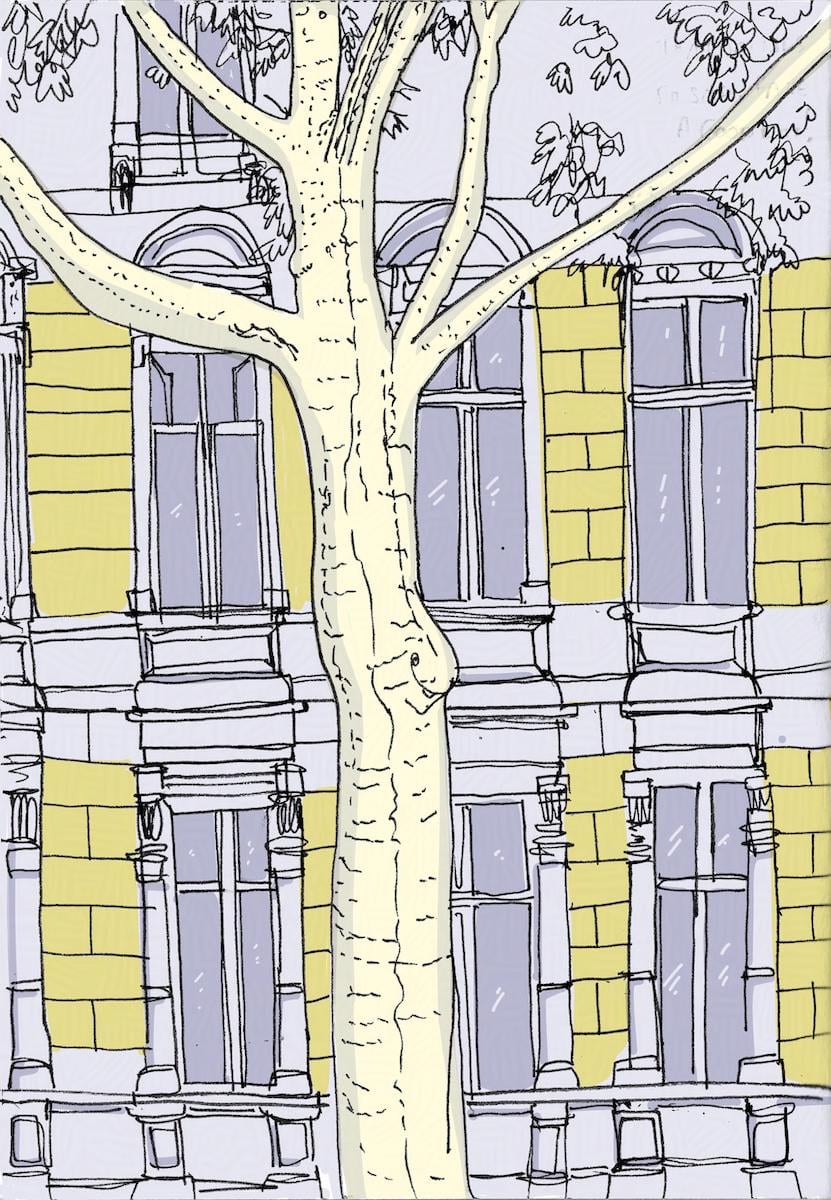 Drawing of a tree in front of a building