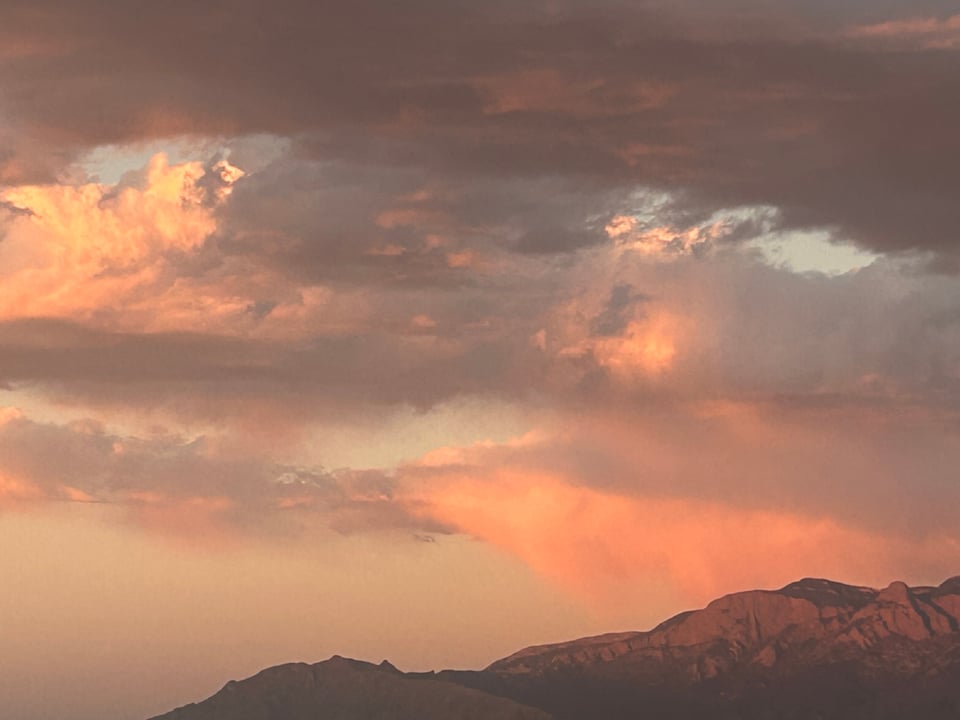 Reflection #48 Death and Love