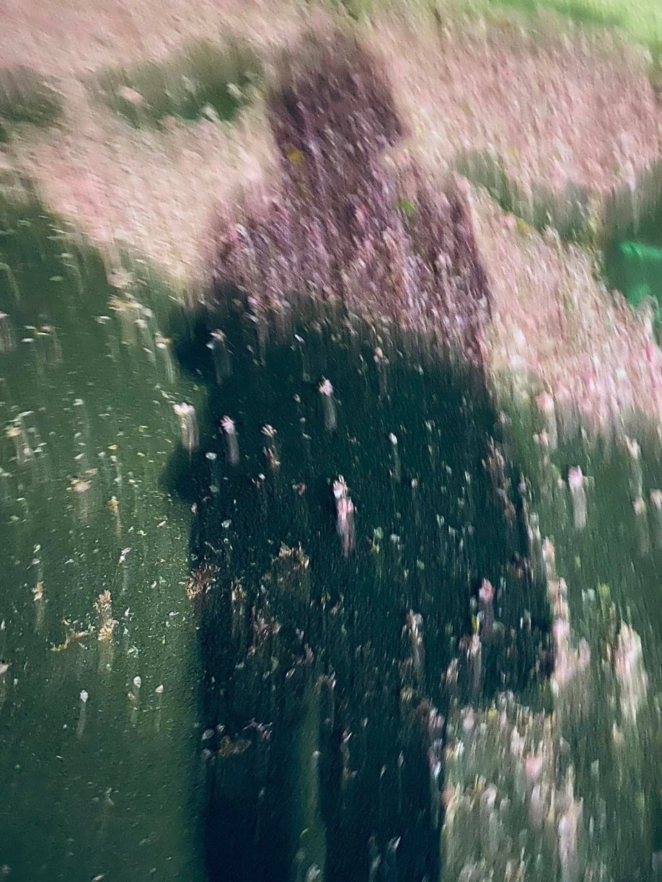 A painitng of a silhoutete smeared against green and pale pink color. A painting by Ewa Palczynska-Ehrard titled The Long Way Home.