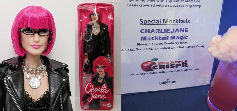 On the left, two images of a barbie doll with bright pink hair and a black leather jacket with big fancy necklace over lacey dress. The Barbie is also shown in a box that says Charlie Jane. On the right, a sign says Special Mocktails: Charlie Jane Mocktail Magic, next to a pink drink covered with a dollop of cotton candy.