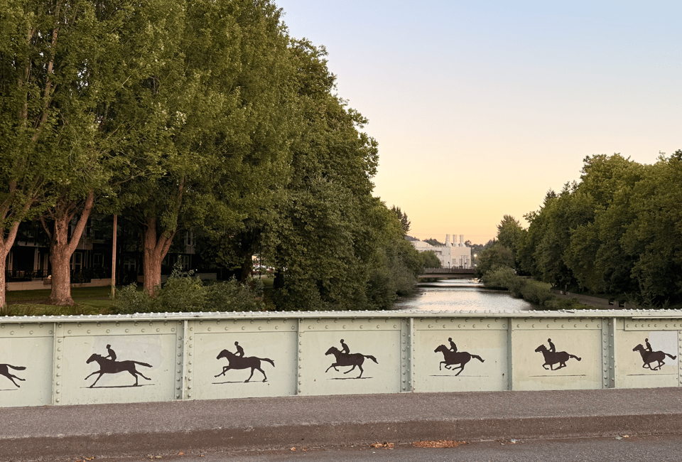 The Muybridge at dawn. It's a bridge with Eadweard Muybridge's photographs of a horse in motion printed on each segment of the bridge so you can see a horse running as you walk along the bridge.