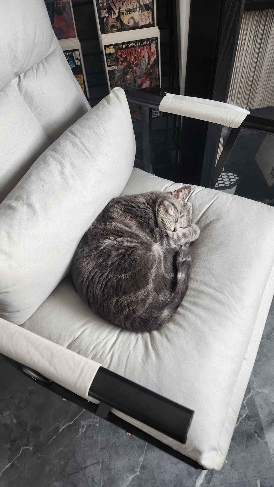 A dark grey cat sleeping on a late grey chair.