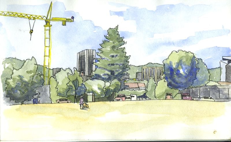 How to Draw the Beauty of Late Summer