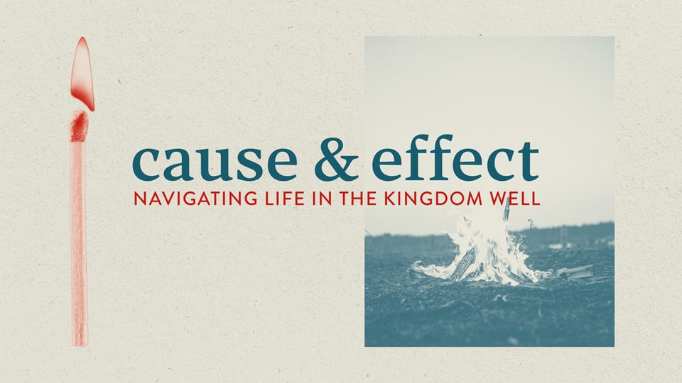 Good Shepherd Weekly 11/5