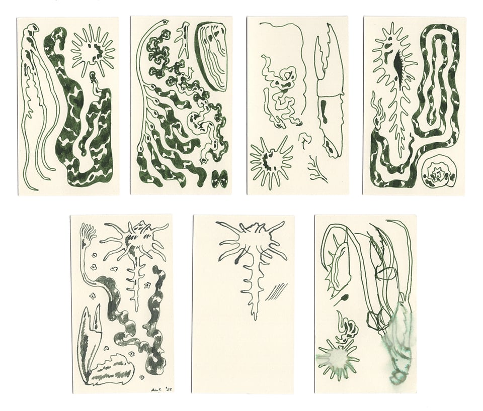 doodles of seaweed, shells, and strange oceanic shapes in green ink on small cards