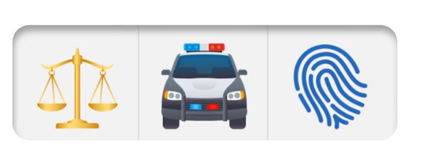 The Crime Lady: Police Procedurals and Homicide: New York