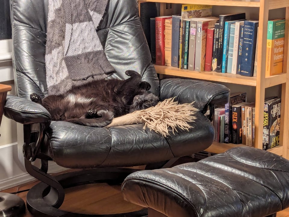 A black cat sleeping upside-down in a big black chair, the white patch of fur on his belly exposed
