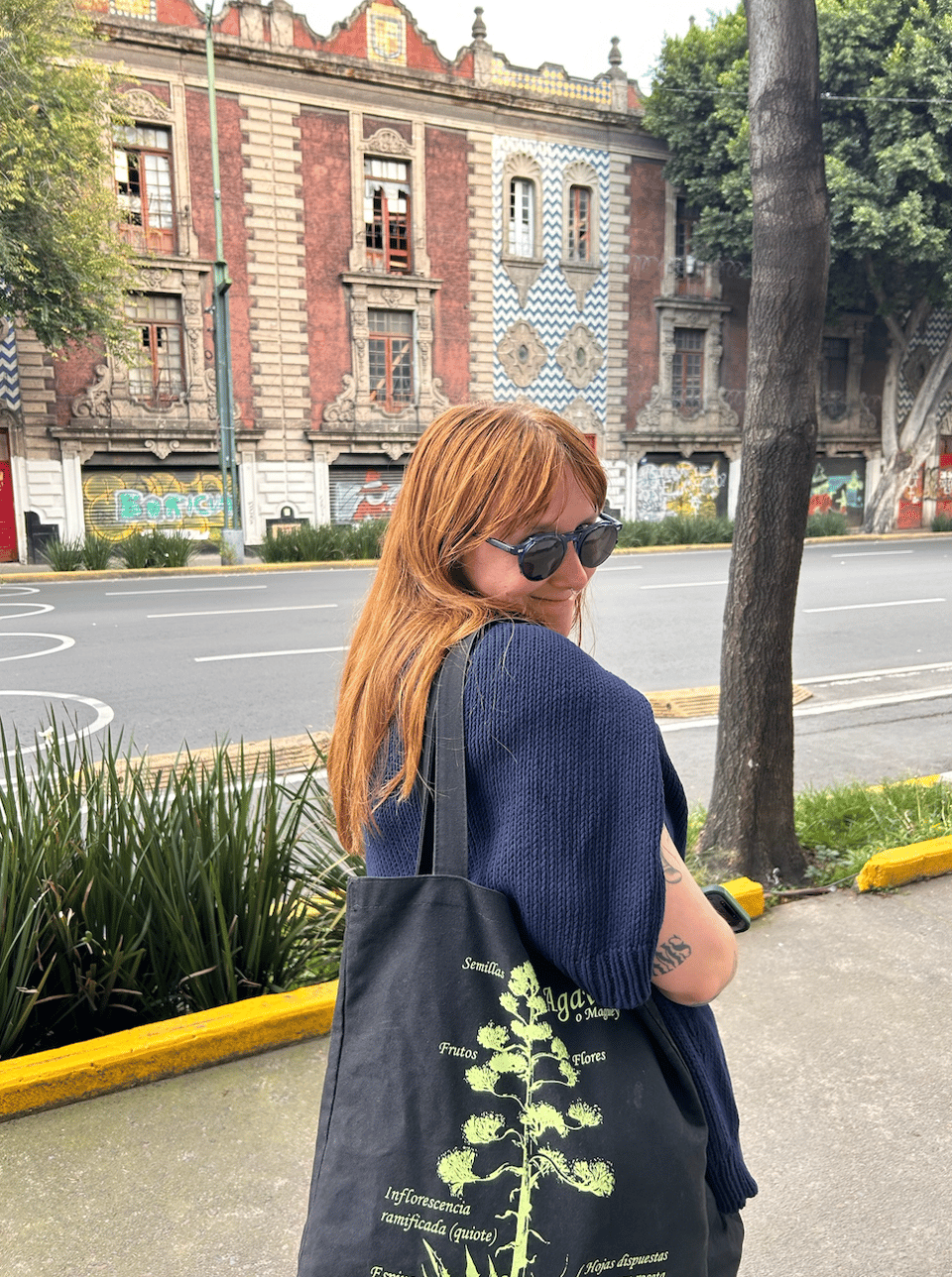 *MEXICO EDITION: The Week in 15 Selections*  