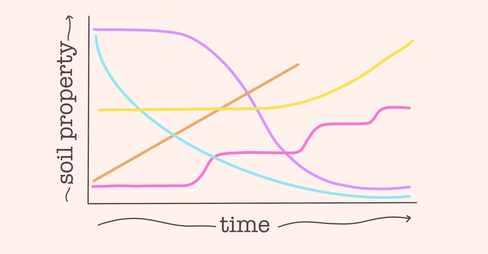 A digital sketch of a graph with time on the x-axis and soil property on the y-axis. There are many lines in different colors and shapes that each represent a different process and their dynamics over time.