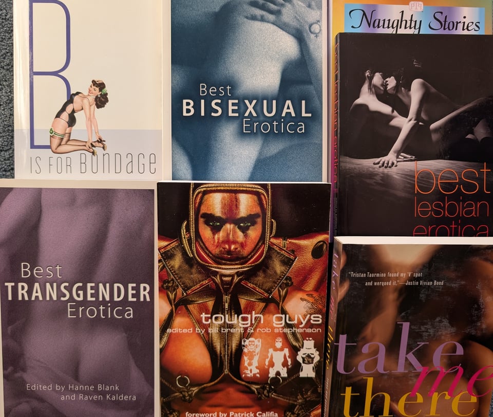 A collage of covers of erotica books, including Best Bisexual Erotica, Best Transgender Erotica, Tough Guys, Best Lesbian Erotica, Sexy Stories from A to Z and B is for Bondage