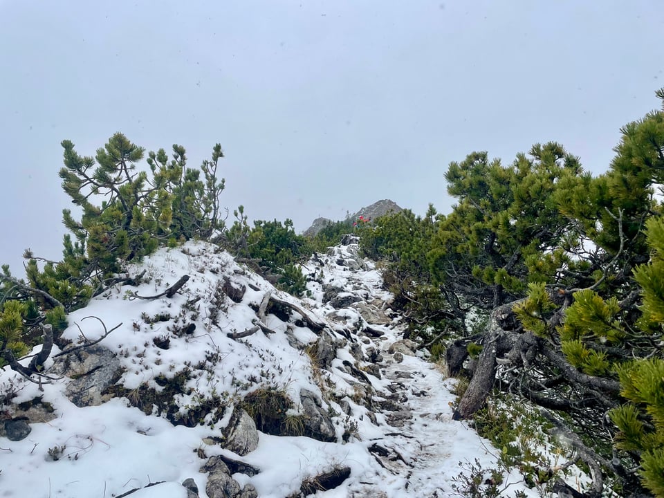 snowy path to Teufelstättkopf