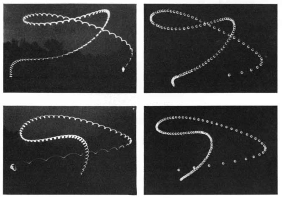 Four black and white images. The background on each is dark, but treetops can be faintly made out. In the foreground are the swoops and swirls of a boomerang’s path, in white, as if made by light.