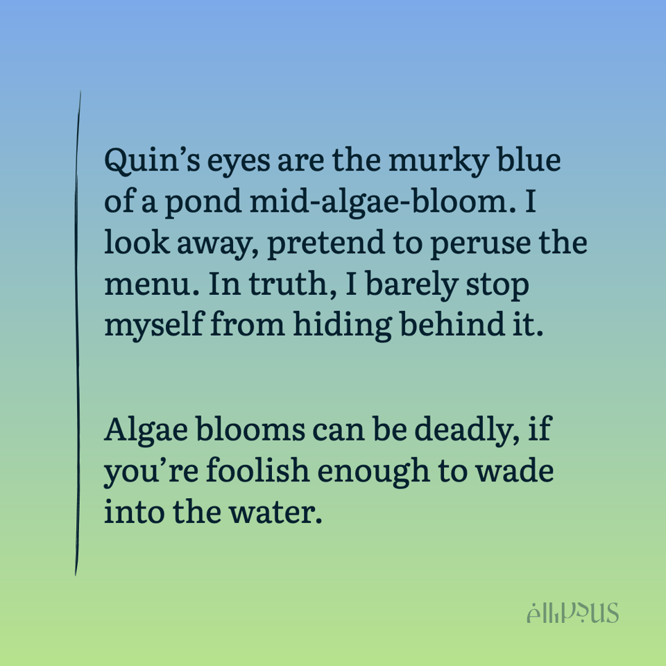 Quin's eyes are the murky blue of a pond mid-algae-bloom. I look away, pretend to peruse the menu. In truth, I barely stop myself from hiding behind it. Algae blooms can be deadly, if you're foolish enough to wade into the water.