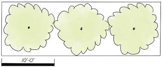 A design rendering showing three shrubs of the same kind in a row.