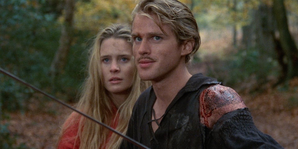 A still from The Princess Bride, Wesley raises his sword, protecting Buttercup.