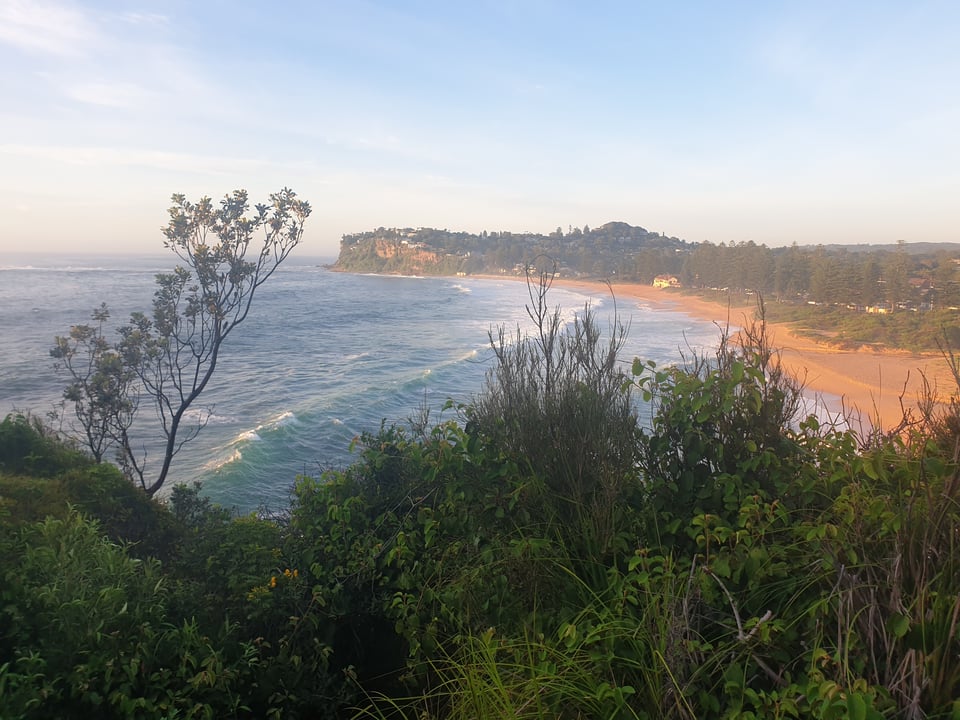 Final mornings in Sydney
