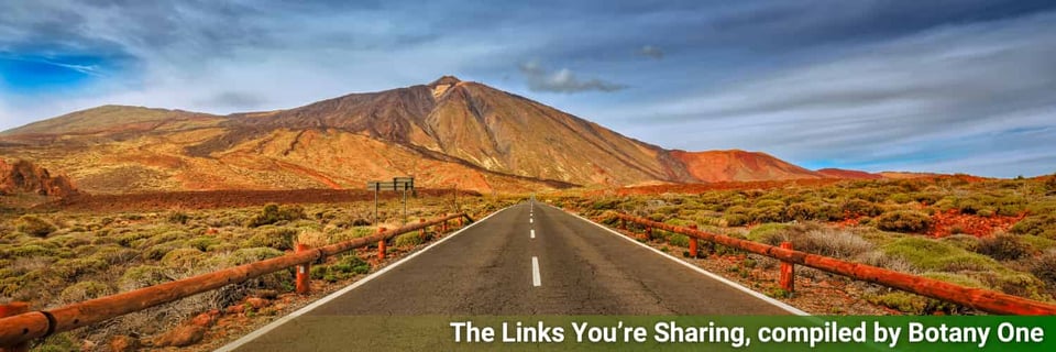 A road through the arid landscape of Tenerife