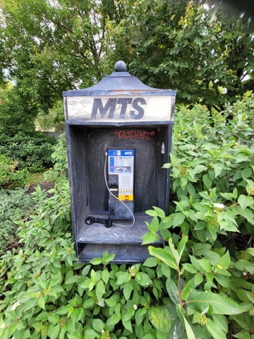 A photograph of an old, decommissioned MTS phone booth in Winnipeg, surrounded by foliage.