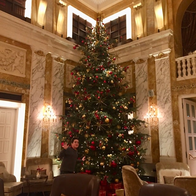 Pine Marten Post #18