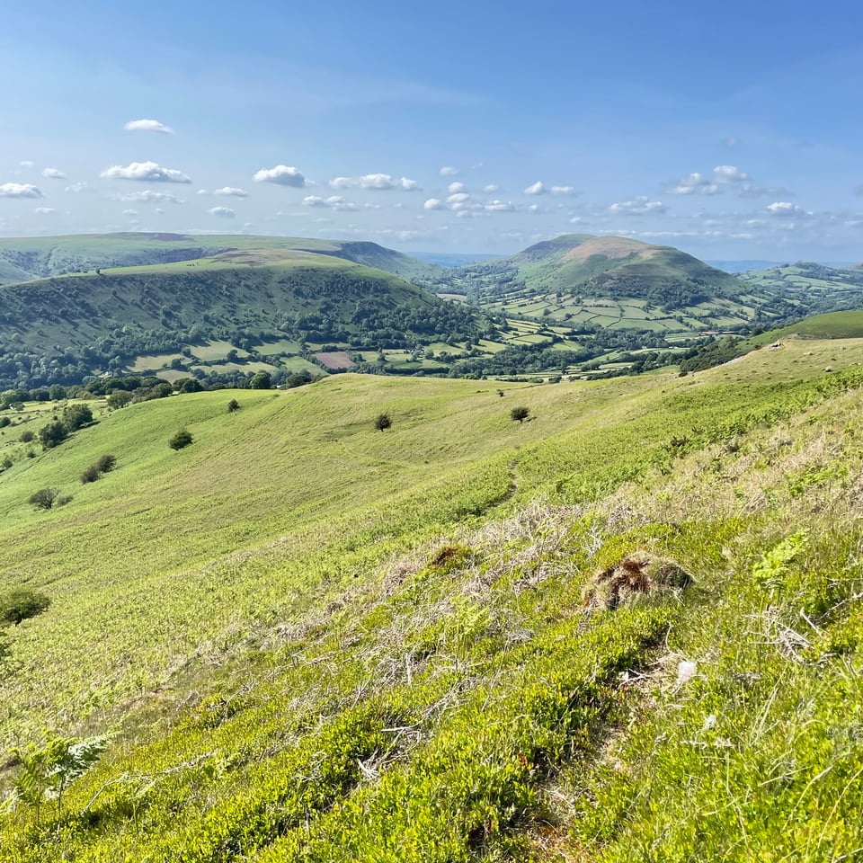 A sunny view of hills with fleeting clouds in a blue sky.