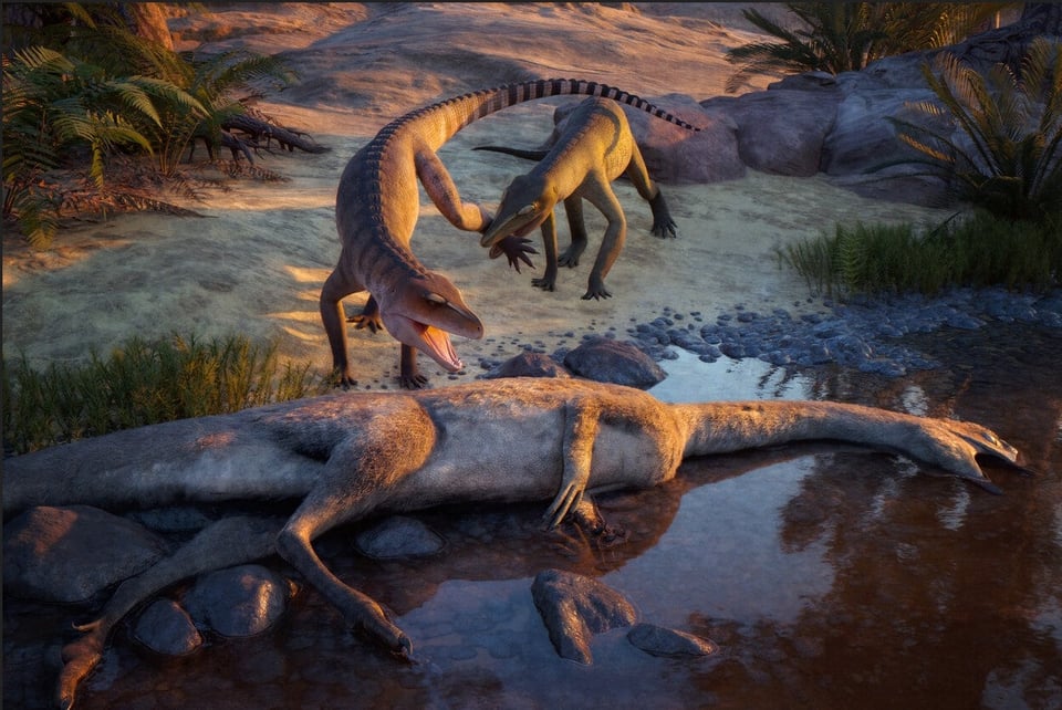 Paleoart of a small, stubby-nosed crocodile being biutten by another, more slender croc, right near the carcass of a fuzzy dinosaur Coelophysis.