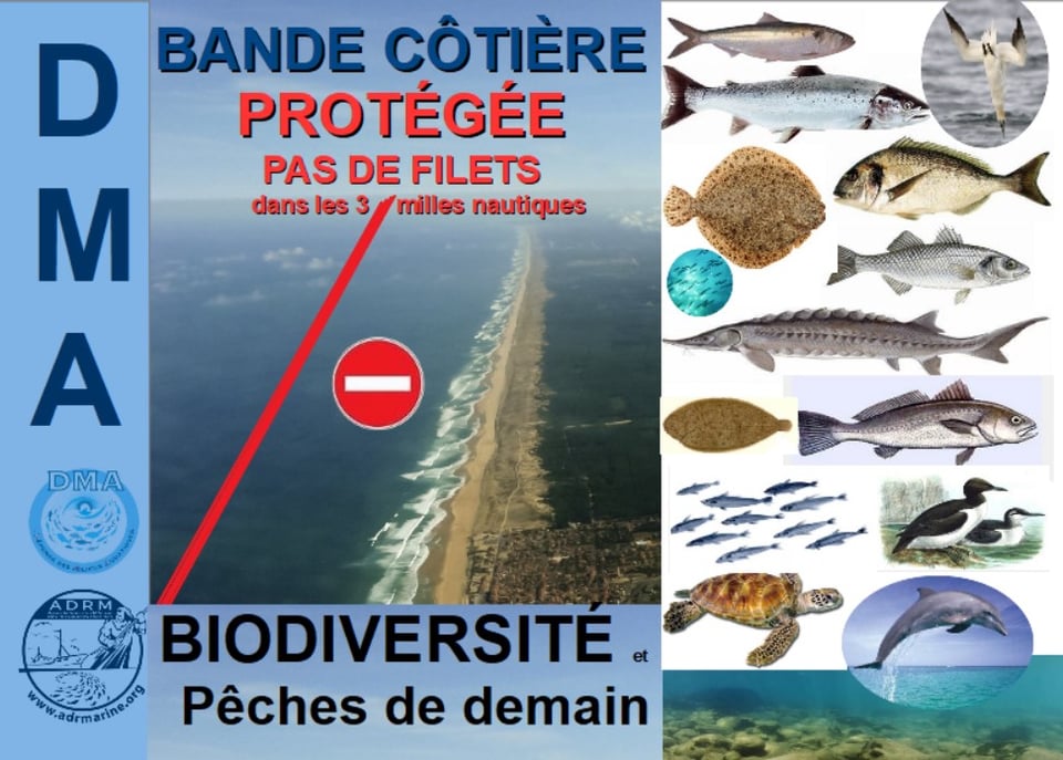 Le projet GOLDEN MILES réserve la bande des trois milles aux pêches sélectives capables d'épargner les juvéniles, les saumons et les espèces protégées.