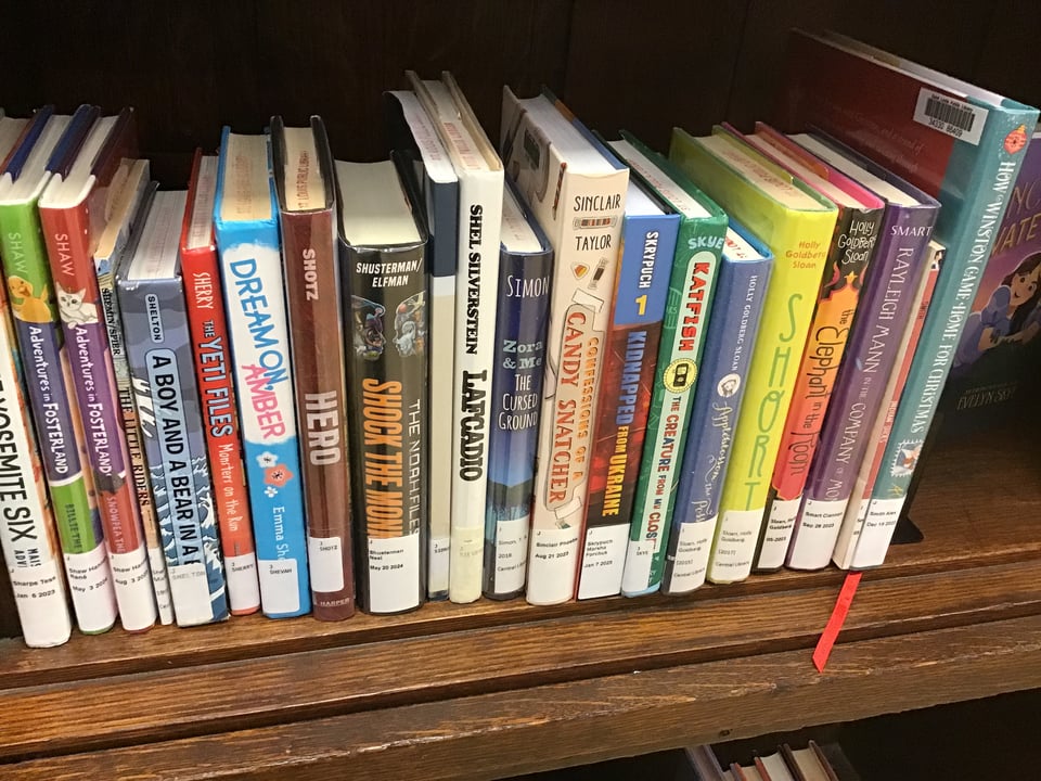 Colorful books on a shelf, with Confessions of a Candy Snatcher in the middle
