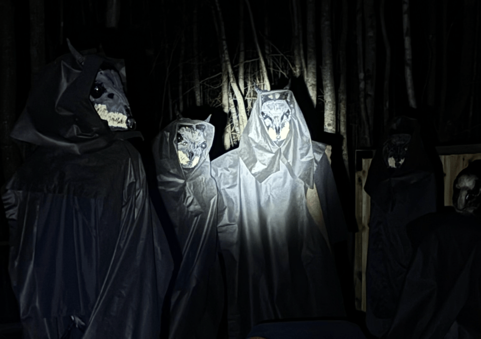 coven of black robed masked figures at night