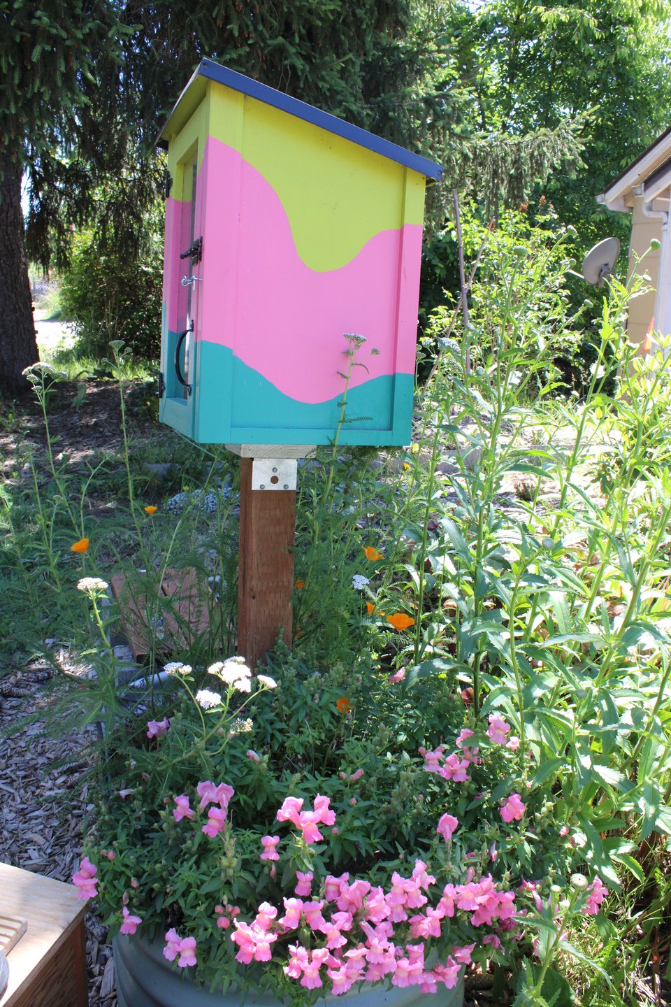 colorful little free zine library in raised bed with snap dragons in bloom.