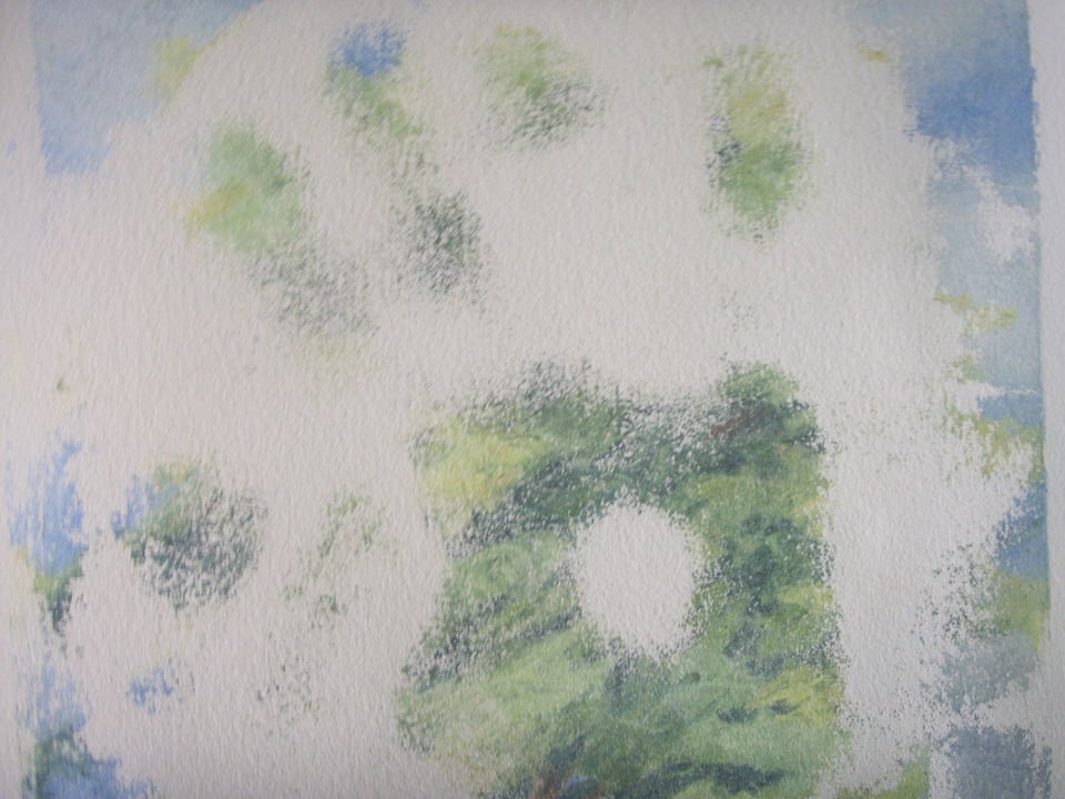 Work by Angelica Colliard in "Respond to Tree," curated by Robin Milliken for Oakland's Confloptus.