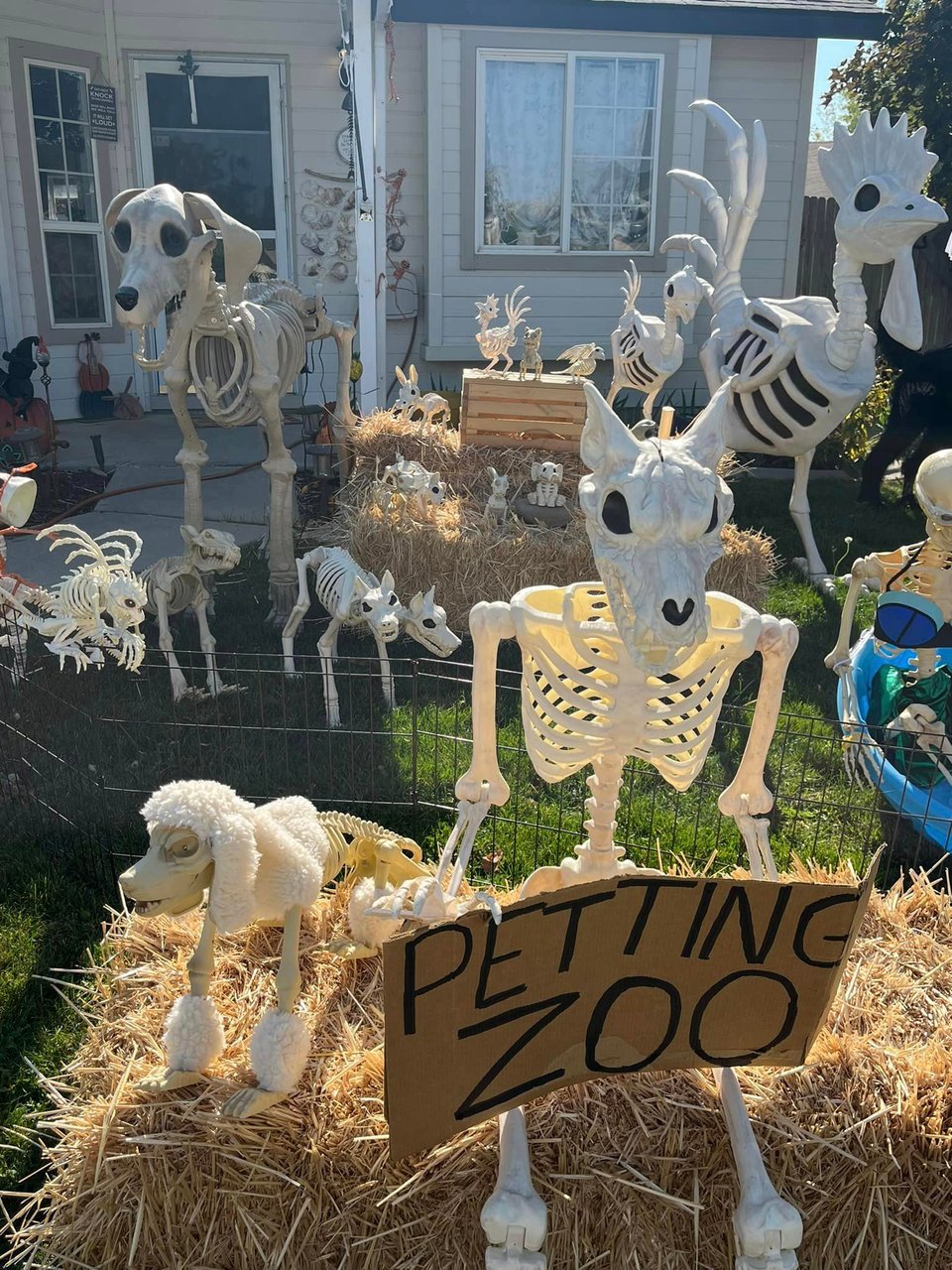 A yard display of a skeleton animal petting zoo, showing skeletons of various creatures like a werewolf, a giant chicken, a two-headed dog, and a poodle.