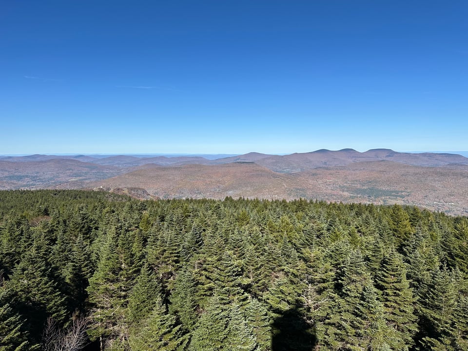 photo of Catskills mountains from the Hunter Mountain ire tower, with a forest of pine trees in the foreground