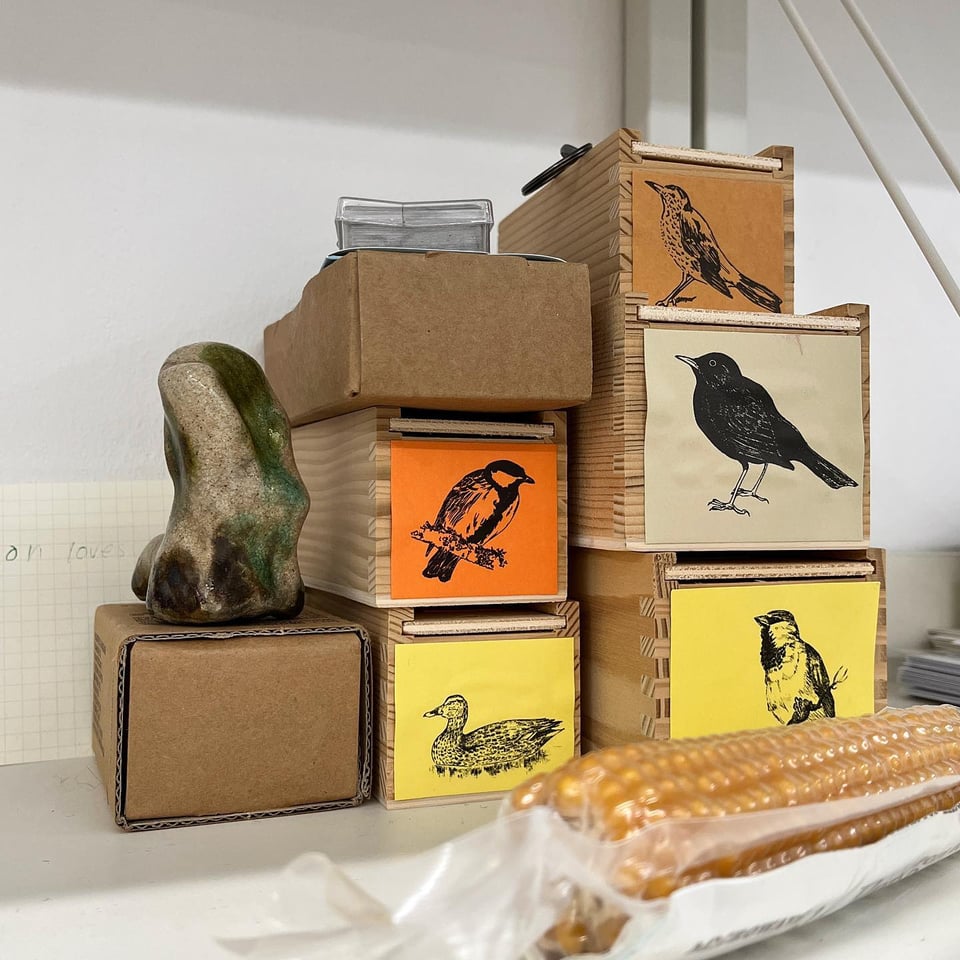 Several wooden boxes with print out illustrations of certain bird species affixed to the front, used as labels.