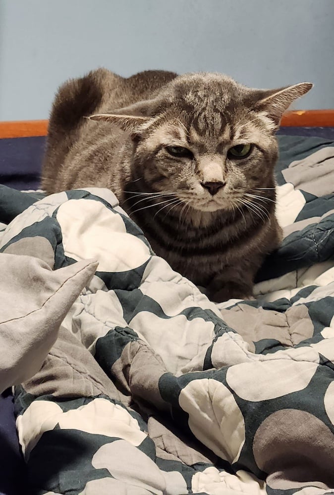 Luca looking very grumpy